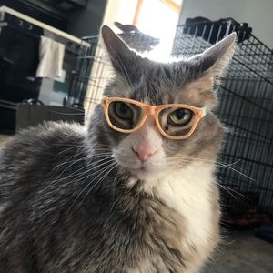 Meet your Posher, Marj